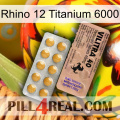 Rhino 12 Titanium 6000 41